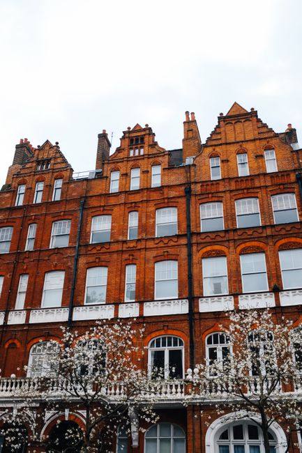 Photograph of a row of Georgian-style terraced houses with white facades and sash windows, taken during late afternoon or early evening sunlight. The image shows the upper floors and rooftops, includi